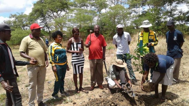 National-planting-day